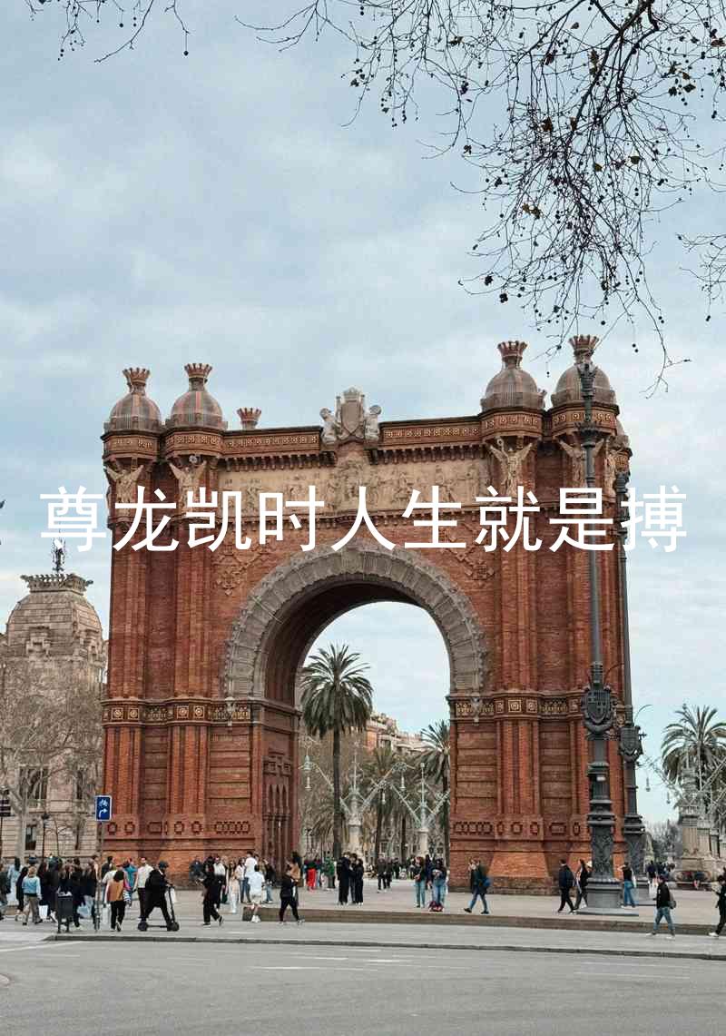 尊龙凯时人生就是搏
