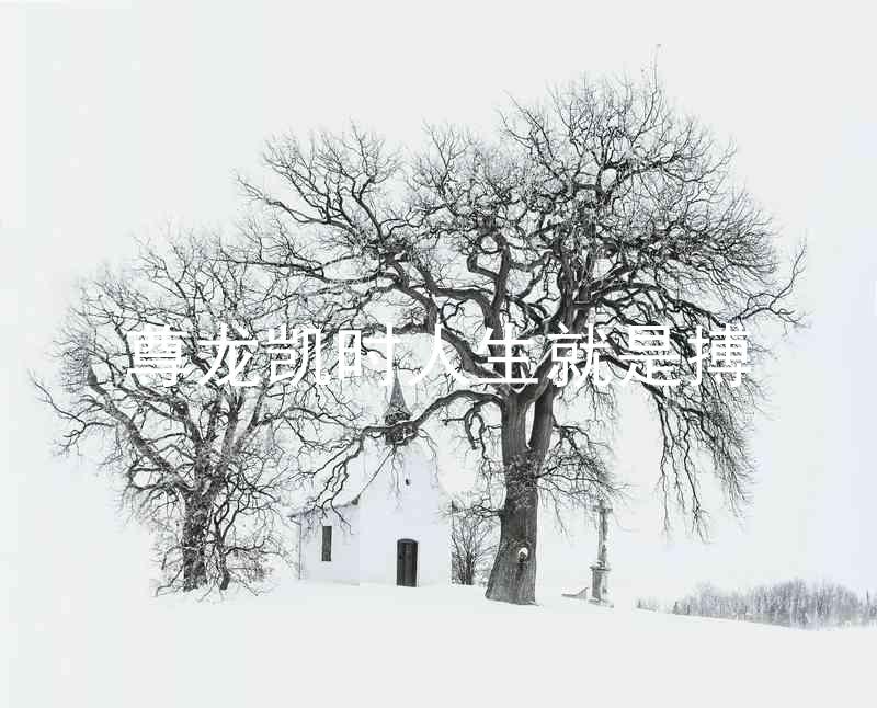 尊龙凯时人生就是搏